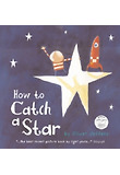 How to Catch a Star 표지 이미지