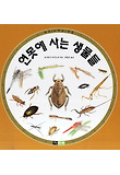 연못에 사는 생물들 : 물자라의 새끼 키우기 표지 이미지