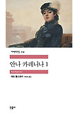 안나 카레니나 세트