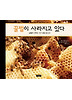 꿀벌이 사라지고 있다 (양장)