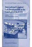 International Criminal Law Developments in the Case Law of the Icty