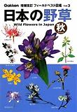 日本の野草 秋