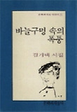 바늘구멍 속의 폭풍(문학과지성 시인선 151)