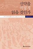 신약을 어떻게 읽을 것인가 표지 이미지