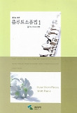 플루트 소품집