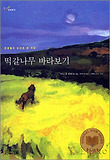 떡갈나무 바라보기