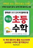 핵심 초등 수학