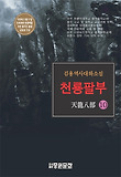 천룡팔부. 10 : 김용 역사대하소설 표지 이미지