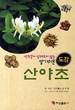 산야초 도감