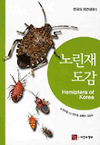노린재 도감 = Hemiptera of Korea 표지 이미지