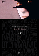 절망 (양장)
