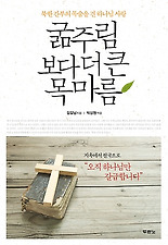 더큰 이미지