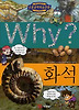Why 화석