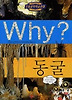 Why 동굴