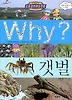 Why 갯벌