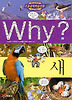 Why 새