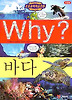 Why 바다
