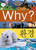 Why 환경