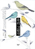 유리 그림자 (양장)