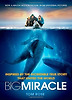 Big Miracle (Paperback)