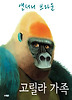 고릴라 가족