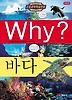 Why 바다