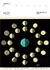 비전