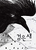 검은 새