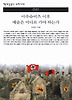 아우슈비츠 이후 예술은 어디로 가야 하는가(책세상문고우리시대 41)