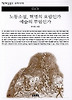 노동소설 혁명의 요람인가 예술의 무덤인가(책세상문고우리시대73)