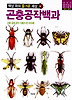곤충공작백과